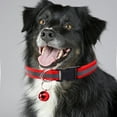 thumbnail image 3 of Collier pour Animaux de Compagnie Réglable Sans Boucle Collier Chien/chat avec Sangle de Visibilité Nocturne, 3 of 3