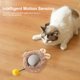 thumbnail image 4 of Automática Interactiva para Gatos Interiores (gris), 4 of 9