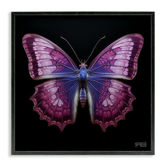 Stupell Industries Vivid Purple Butterfly Animals & Insects Painting Black Framed Art Print Wall Art, 12 x 12