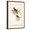 Brown Frame, variant on Art.com Common Cardinal Grosbeak Art Print by John James Audubon, 12" x 18"