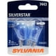 thumbnail image 1 of Bombilla SYLVANIA SilverStar Mini 7443, luz blanca más brillante, x2, 1 of 7