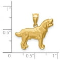 thumbnail image 2 of 14k Solid Yellow Gold Labrador Retriever Pendant Necklace Pendant for Women - 1.5 Grams, 2 of 2