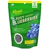 Karen's Naturals , Bleuets Biologiques Seulement, Fruits Lyophilisés, 56 g (2 oz)
