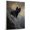 Affenpinscher, variant on Irish Wolfhound Dog Playing Climbing Stretched Canvas Size 8x12 – Sports Dog, Perfect for Animal Lovers, Irish Wolfhound Dog Canvas, Climbing Canvas Size Wall Art