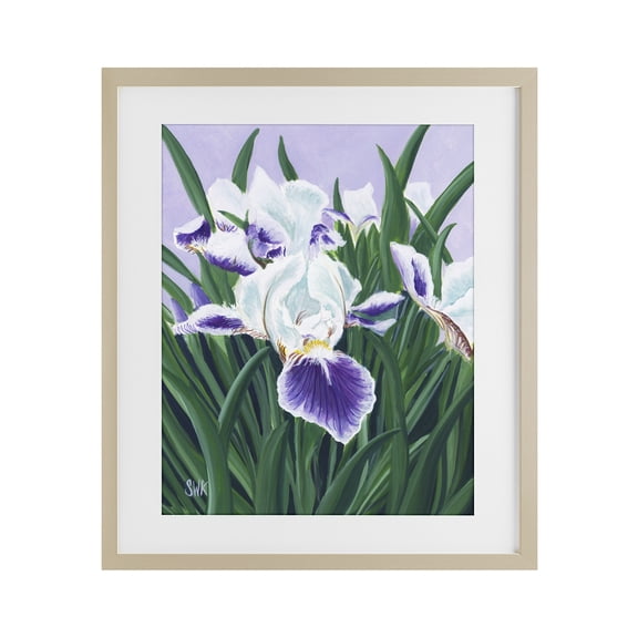 Stupell Industries Modern Purple & White Irises Birch Framed Print Under Glass, 13 x 16, by Sarah Waldron Kimball