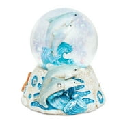 Puzzled Dolphin Dome Animals Underwater Collection Ocean Life Big Waves Nautical Aquatic Marine Multi-color Resin Snow Globe