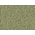 thumbnail image 1 of Ahgly Company Indoor Rectangle Patterned Iguana Green Area Rugs, 7' x 10', 1 of 6