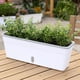 thumbnail image 1 of Maceta rectangular con autorriego y sistema de absorción automática de agua con indicador visible para jardinería interior y exterior (blanca), 1 of 6