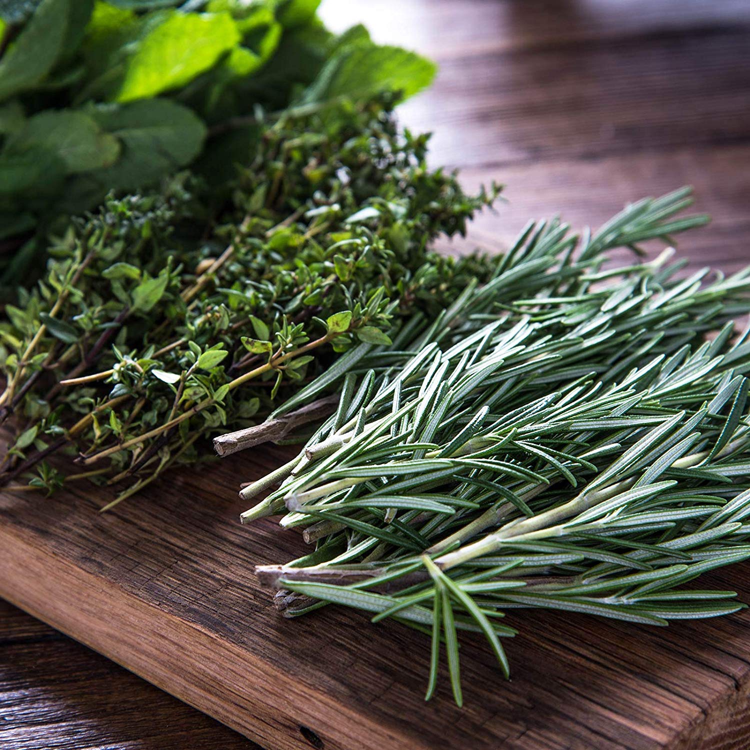 Assortment of 12 Culinary Herb Seeds - Grow Cooking Herbs- Parsley, Thyme, Cilantro, Basil, Dill, Oregano, Sage, More