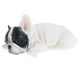 thumbnail image 1 of Lindo Modelo Animal Juguete Estatuilla Hogar, 1 of 9