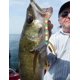thumbnail image 2 of Juego de Cuentas de pesca ZHAOCHENG 1000 piezas 10 colores, 2 of 5