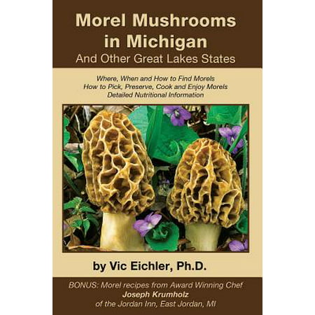 Morel Mushrooms in Michigan and Other Great Lakes (Best Places To Find Morel Mushrooms In Michigan)