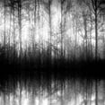 thumbnail image 2 of Anonymous 12x12 Black Ornate Wood Framed with Double Matting Museum Art Print Titled - Forest Mist, 2 of 4