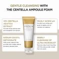 thumbnail image 4 of Espuma en ampolla Cleanser SKIN1004 Madagascar Centella, 125 ml, 4 of 8