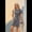 Gray, variant on Round Neck Short Sleeve Dress Navy Blue XL