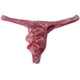 thumbnail image 1 of Correa Atractiva Ropa Interior Breve Encaje Del Cordón para Hombre Baoblaze Sexy tanga, 1 of 8