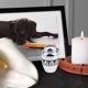 thumbnail image 1 of Pet Lover Dog Remains Ashes Memorial Tree Of Jar Stainless Steel Funeral Urn Jar Altar, 1 of 6