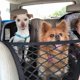 thumbnail image 2 of Car Dog Barrier Pet Front Seat Barrier Adjustable Pet Back Seat Barrier Organizer, 2 of 5