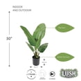 thumbnail image 3 of Lush Estate Artificial Bird of Paradise Plant, 30", Lifelike UV Resistant Indoor/Outdoor, 3 of 6