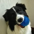thumbnail image 2 of Pelota de Juguete para Perros Pequeños y Medianos Resistente a Mordeduras de Pelota Puntiaguda Azul, 2 of 9