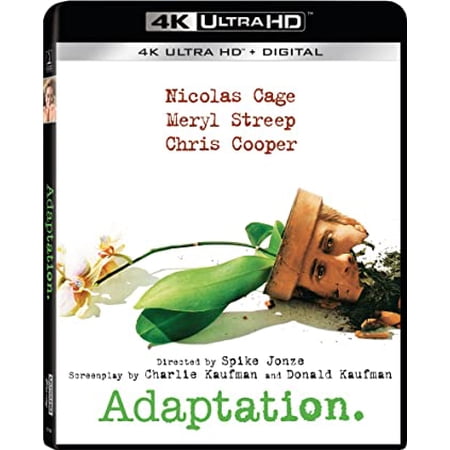 New Adaptation (4K + Digital)