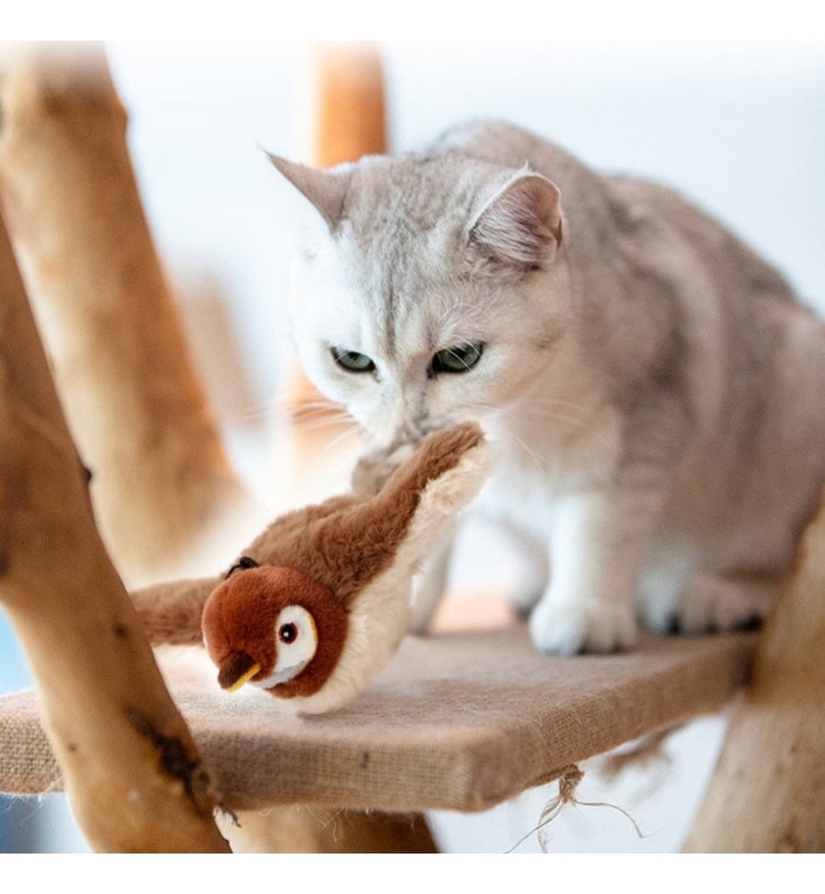 Qa Cat Toys, Interactive Flying Bird