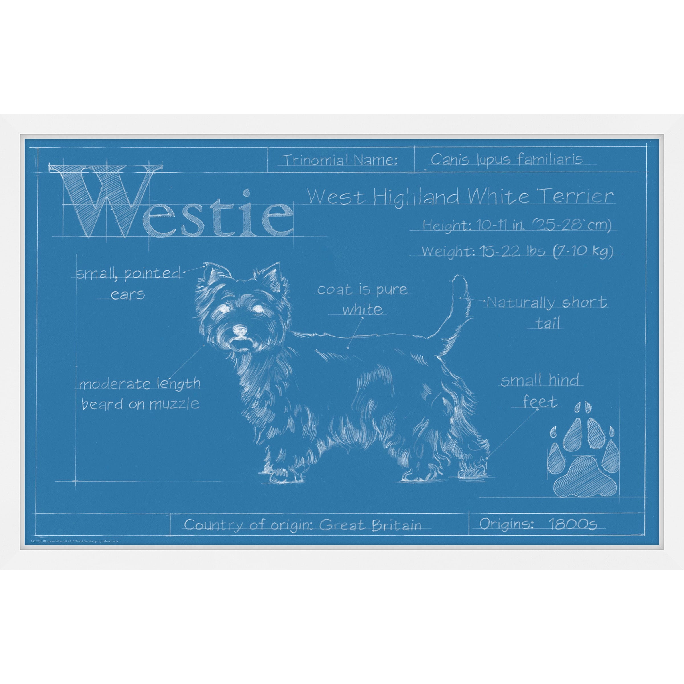 "Westie" Framed Painting Print