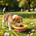 thumbnail image 2 of Dog Bowl Silicone Foldable Portable BPA-Free No Leak Travel Cup for Outdoor Camping Small Medium Pets by MPOISVA, 2 of 7