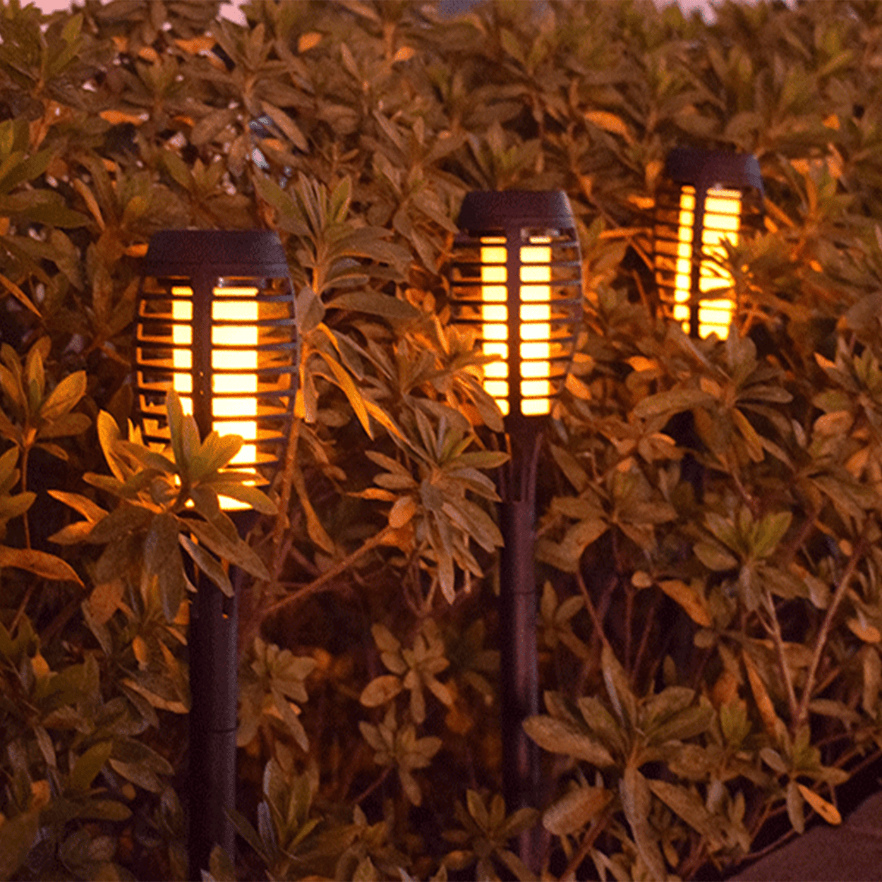 Solar Lights for Outdoor Torch Path Decor Landscape Lighting & Solar Lights Outdoor, Flickering Flame Waterproof, 12 Pack
