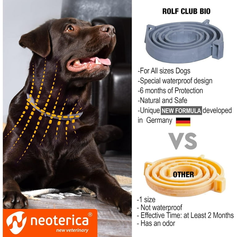 Essential oil flea collar 2025