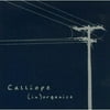 Calliope: J. Andy Dryer, Matt Ellison, Jason Lantrip, Eric Merckling. Recorded at Trash 180 degrees Studio, Lansing, Michigan. How about a band that evokes Beck's melodic pop, Donovan's gentle voice, and the pastel-colored textures of the Sea And Cake? How about a band that sounds as if it'd be equally at home covering Dave Brubeck or Hawkwind? Add touches of hip-hop scratching, sitar, backwards tapes, and a trumpet player with chops. For Calliope, it all works. Despite the band's disparate influences, nothing sounds forced or pretentious on the group's third release, IN ORGANICS. It's among the most adventurous--yet focused--discs to date from the group.