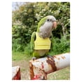 thumbnail image 2 of JTAOT Flight Harness Vest, Parrot Suit with Leash for Parakeets Cockatiels Conures Budgies, Flying Clothes Rope and Handle Outdoor Activities Training, Anti Bite (S, Yellow), 2 of 7