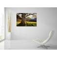 thumbnail image 5 of Epic Art 'The Star' by Martin Podt, Acrylic Glass Wall Art, 36"x24", 5 of 5