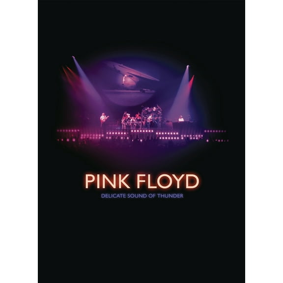 Delicate Sound of Thunder (DVD), Pink Floyd Records, Music & Performance