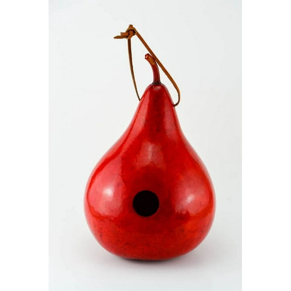 Gourd Birdhouses - Red Birdhouse - Martin House