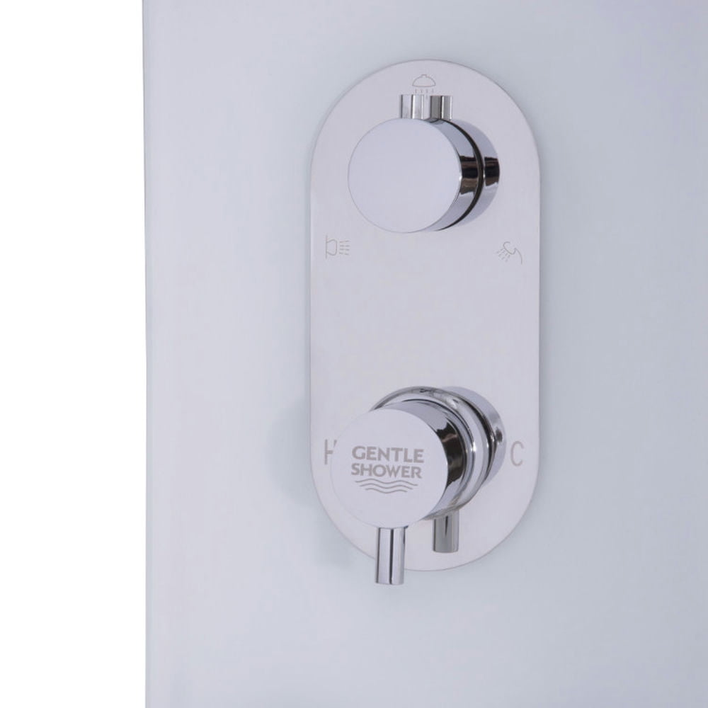 Finihen Shower Panel, Shower Panel Tower System, 55 Inch Tempered Glass Shower Panel with Massage Jets Hand Shower, Silver Finihen Shower Panel, Shower Panel Tower System, 55 Inch Tempered Glass Shower Panel with Massage Jets Hand Shower, Silver