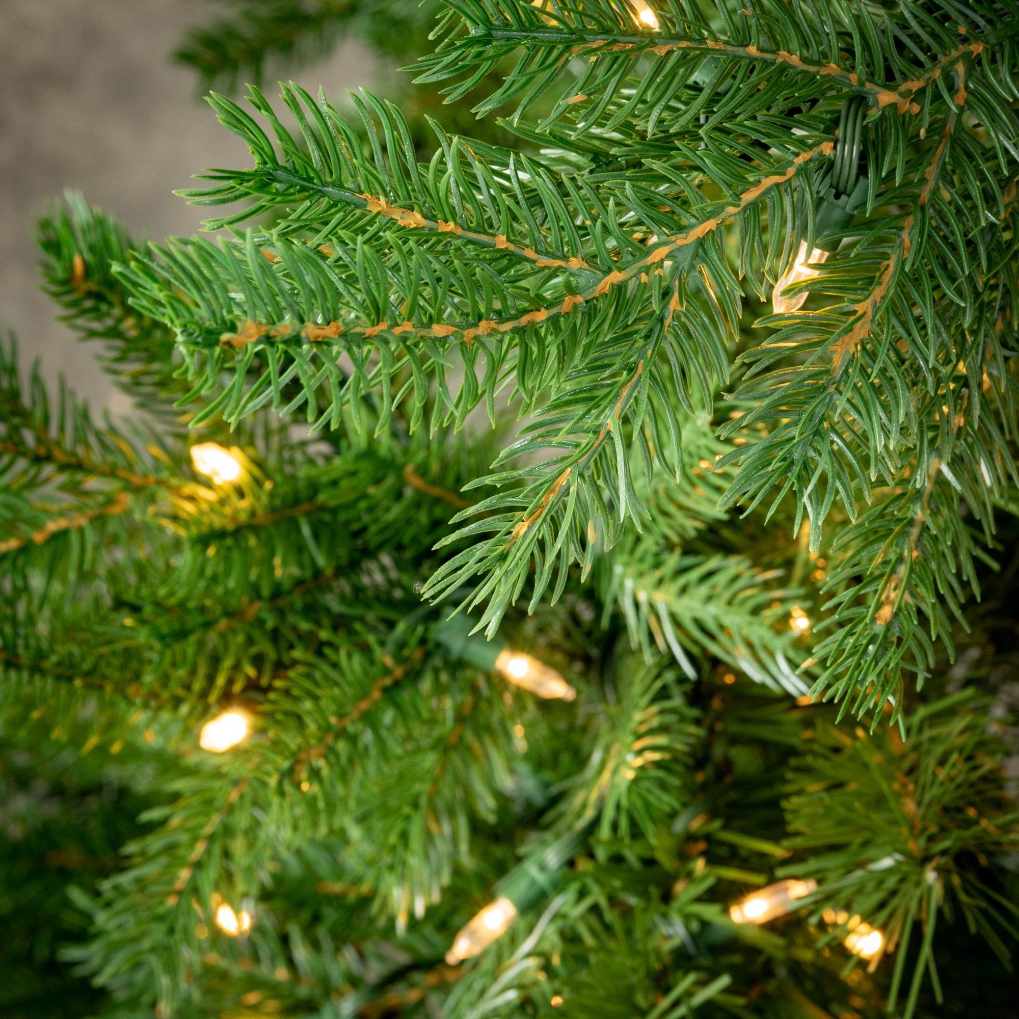 7' Sullivans Lit Pine Christmas Tree, Green