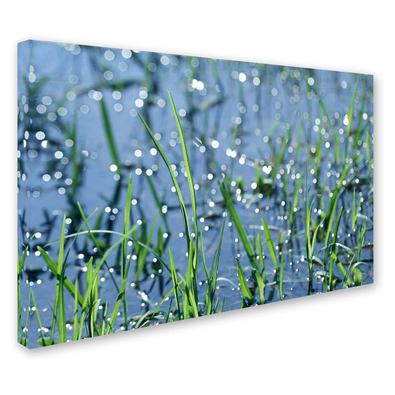 Trademark Fine Art "After the Rain" Canvas Art by Beata Czyzowska Young