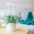 thumbnail image 2 of Plant Grow Light LORDEM LED de espectro completo para plantas de interior, 2 of 5
