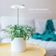 thumbnail image 2 of Plant Grow Light LORDEM LED de espectro completo para plantas de interior, 2 of 5