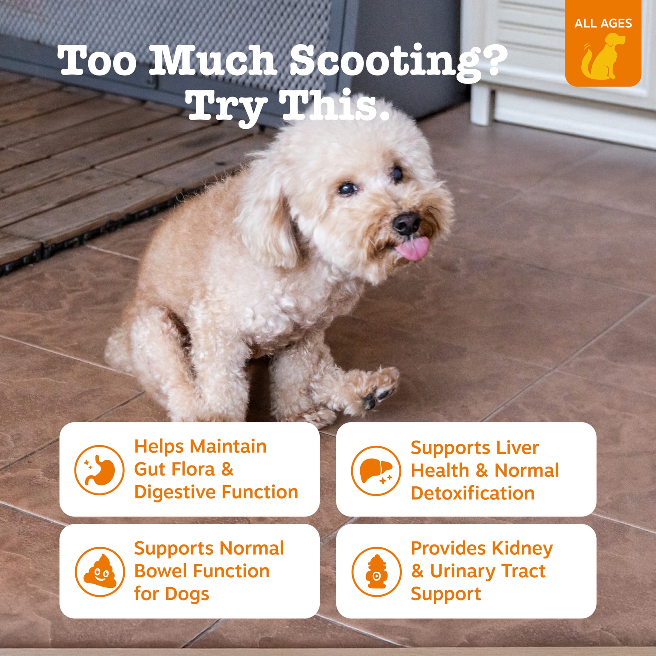 Zesty Paws Scoot Away Bites Chicken Flavor Dog Supplement, 90 Count