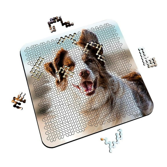 Torched Mind Bending Puzzle Wind in my Fur 11.3" x 11.3"x 11.3"