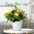 thumbnail image 4 of 6 inch Plant Pots, 5 Pack Flower Pots Outdoor Indoor, Planters with Drainage Hole and Tray Saucer（White）, 4 of 12