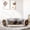 Gray, variant on COZIWOW 2-in-1 Cat Tunnel, Collapsible Cat Play Bed with Hanging Scratching Balls and Removable Mat for Indoor Cats, Gray