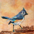 thumbnail image 2 of St. Hilaire, Elizabeth 15x15 Black Ornate Wood Framed with Double Matting Museum Art Print Titled - Tufted Titmouse, 2 of 4