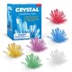 thumbnail image 2 of Kit de cultivo de cristal STEAM Experimento de ciencia química Artesanía educativa DIY, 2 of 8