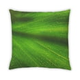 thumbnail image 2 of Ahgly Company Color Focus Green Coussin d'Extérieur, 18 Pouces par 18 Pouces, 2 of 6