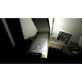 thumbnail image 3 of Infliction, Coupe Étendue [LIMITED RUN GAMES 416] - PS4, 3 of 5