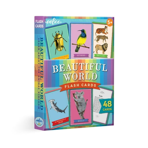 eeBoo Beautiful World Educational Flash Cards