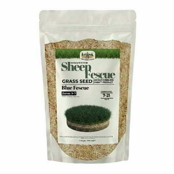 Old Cobblers Farmâ„¢ Wicked Tuff Turf Sheep Fescue (Variety Not Stated) - Low-Maintenance, Drought-Tolerant Grass Seed for Meadows, Slopes & Natural Lawns (5 lbs | 10 lbs | 15 lbs | 20 lbs)(5lbs)
